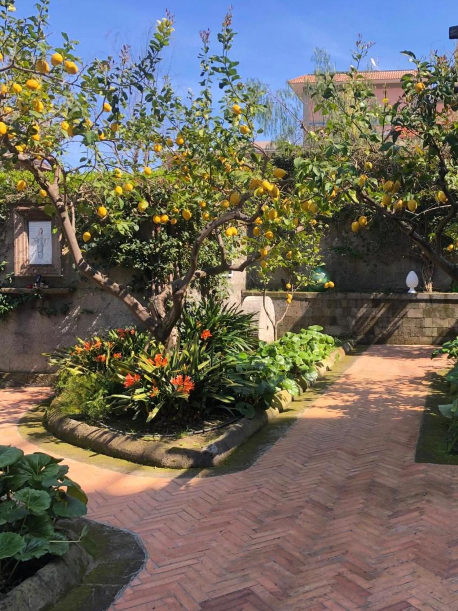 سورينتو Suite Lidia B&B المظهر الخارجي الصورة