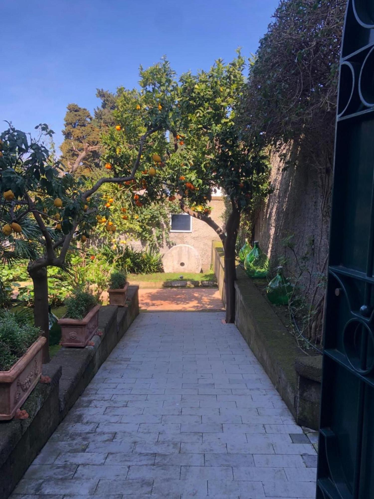 سورينتو Suite Lidia B&B المظهر الخارجي الصورة
